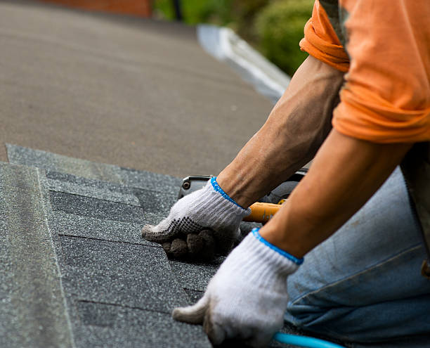 Best Roof Gutter Cleaning  in Coshocton, OH